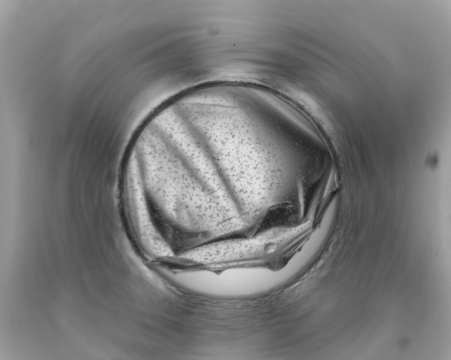 X0000091091331200709041254