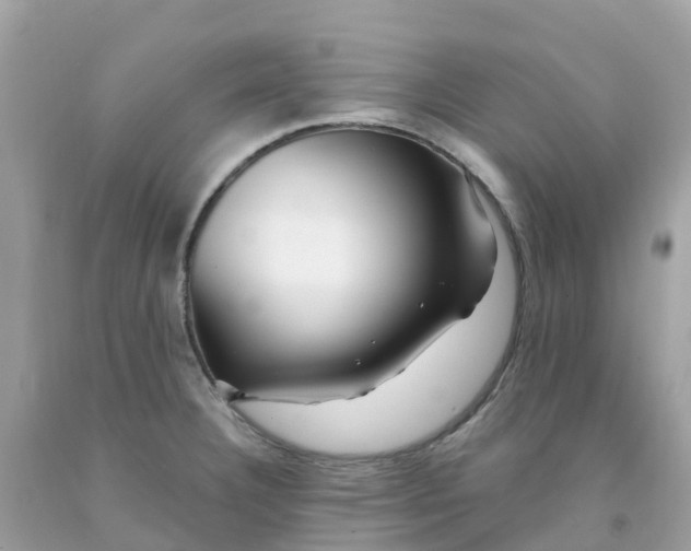 X0000091091332200709041254