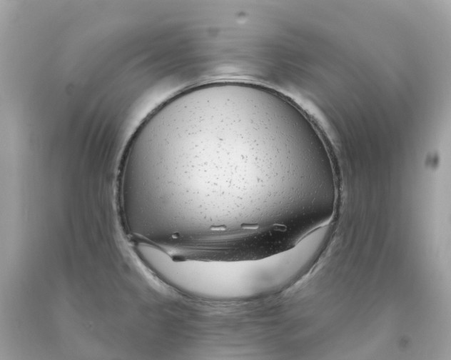 X0000091091333200709041254