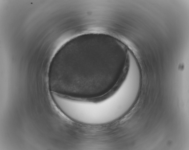 X0000091091334200709041254