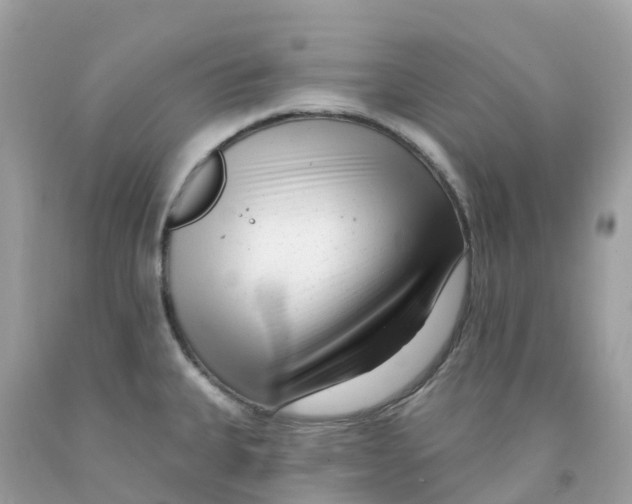 X0000091091335200709041254