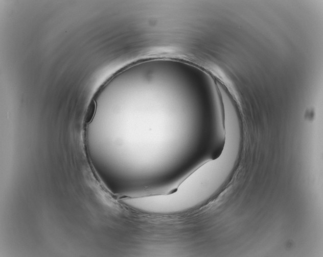 X0000091091336200709041254