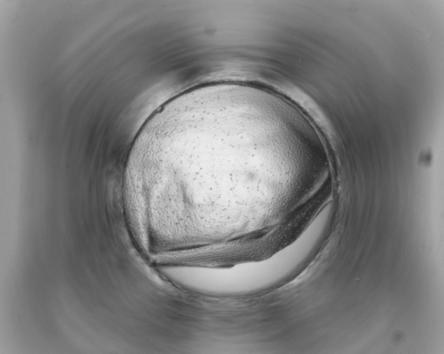 X0000091091337200709041254