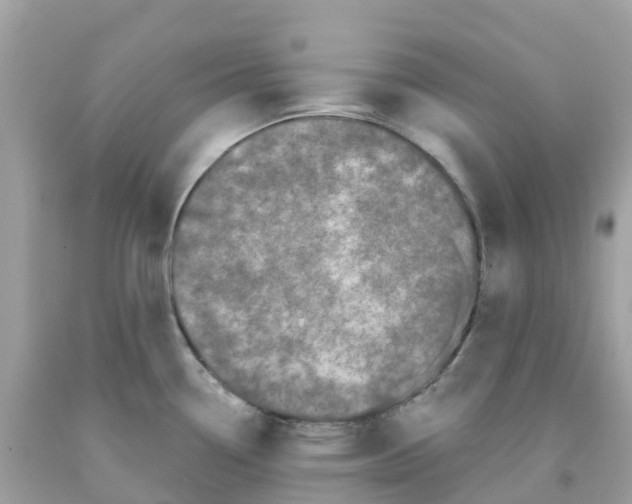 X0000091091338200709041254