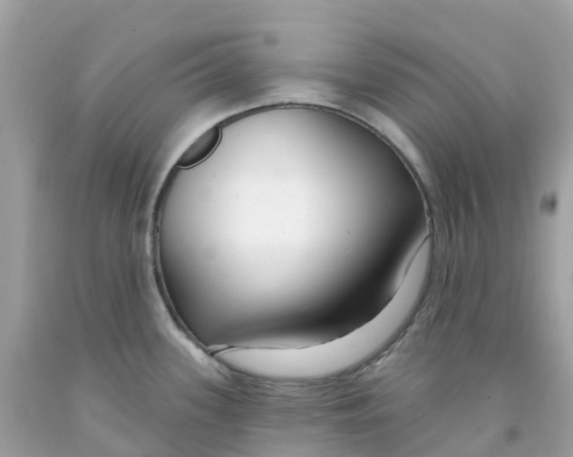 X0000091091339200709041254