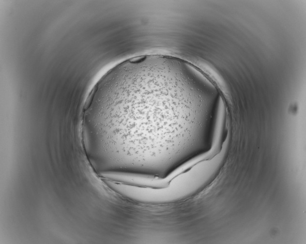 X0000091091340200709041254