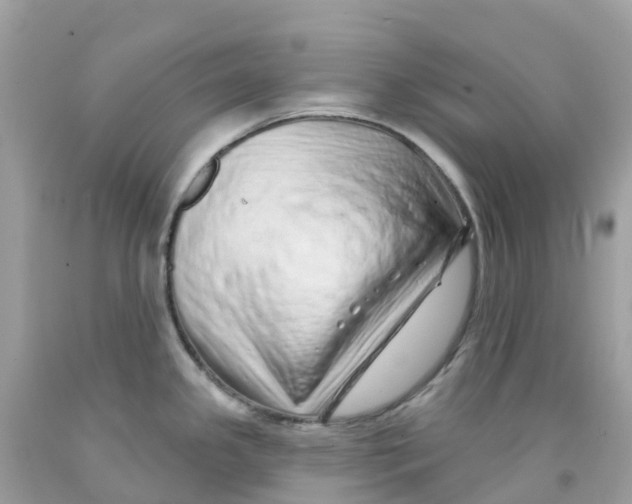 X0000091091341200709041254