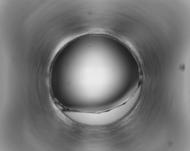 X0000091091342200709041254