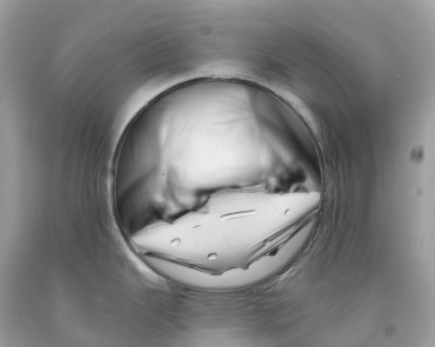 X0000091091343200709041254