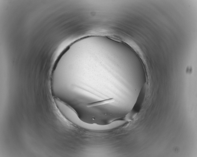 X0000091091344200709041254