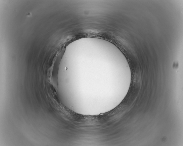 X0000091091346200709041254