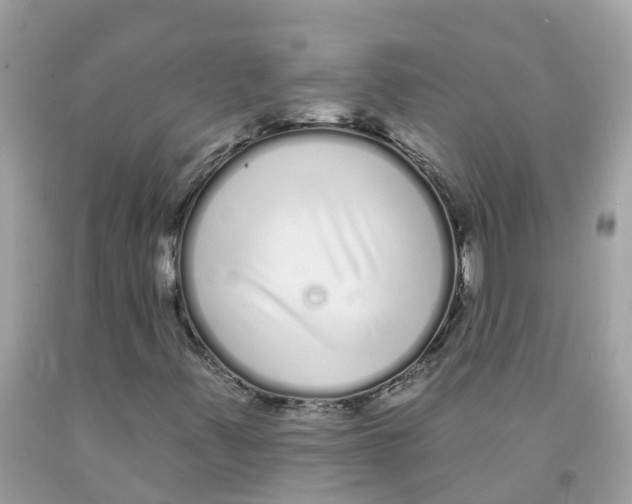 X0000091091347200709041254