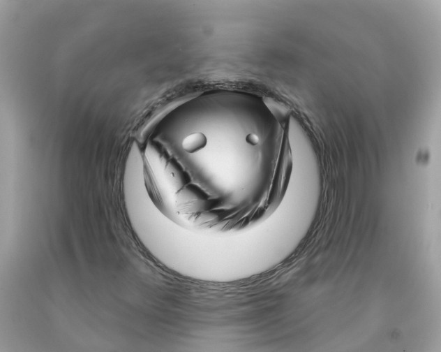 X0000091091348200709041254