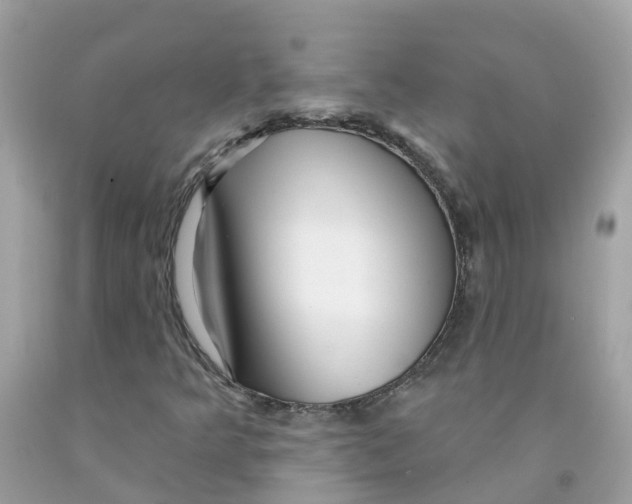 X0000091091349200709041254