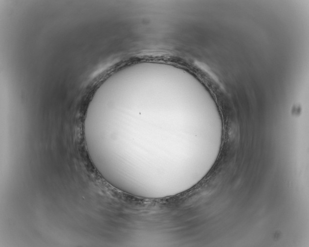 X0000091091350200709041254