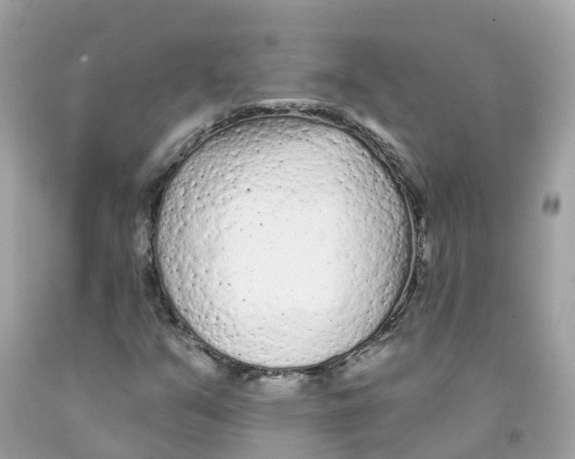 X0000091091351200709041254