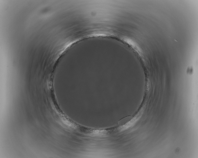 X0000091091353200709041253