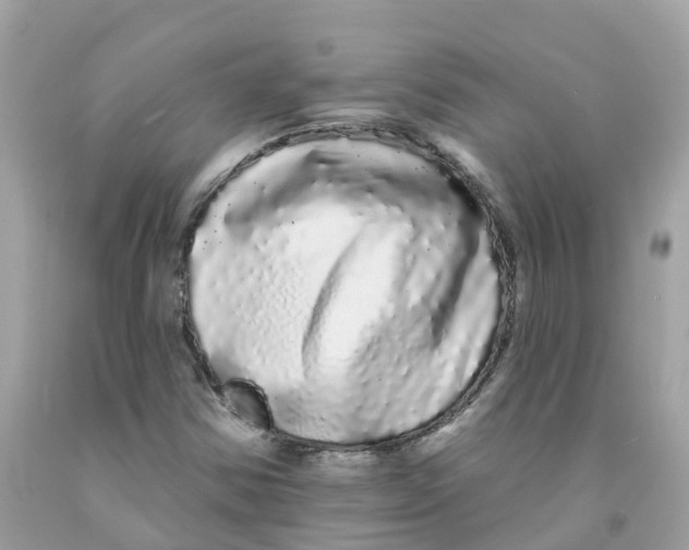 X0000091091354200709041253