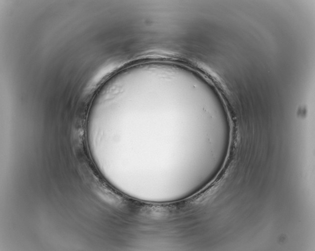 X0000091091355200709041253