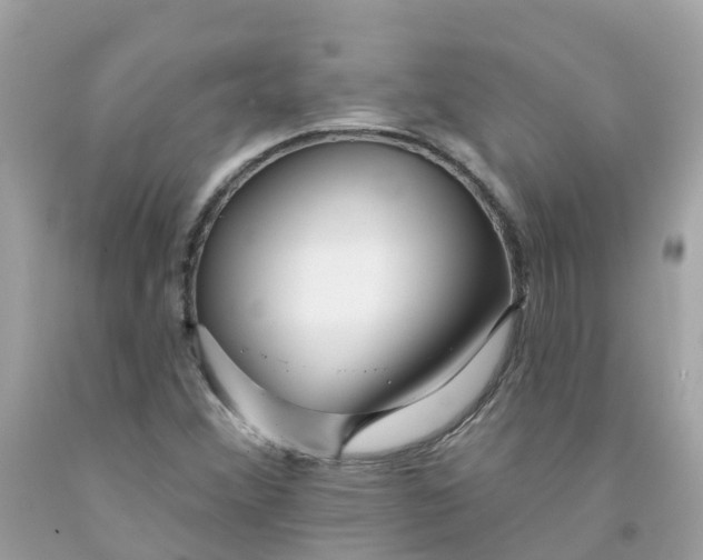 X0000091091356200709041253