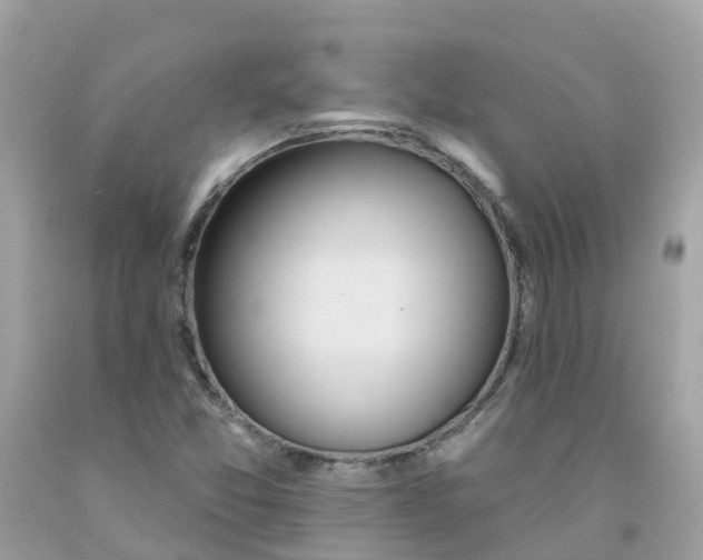 X0000091091357200709041253