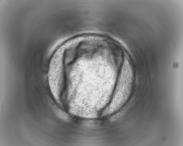 X0000091091359200709041253