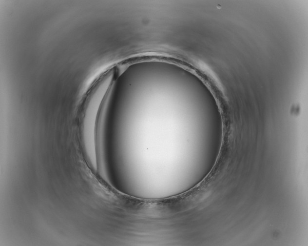 X0000091091360200709041253