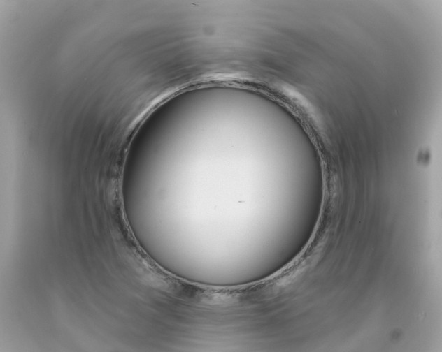 X0000091091361200709041253