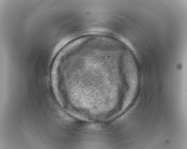 X0000091091362200709041253