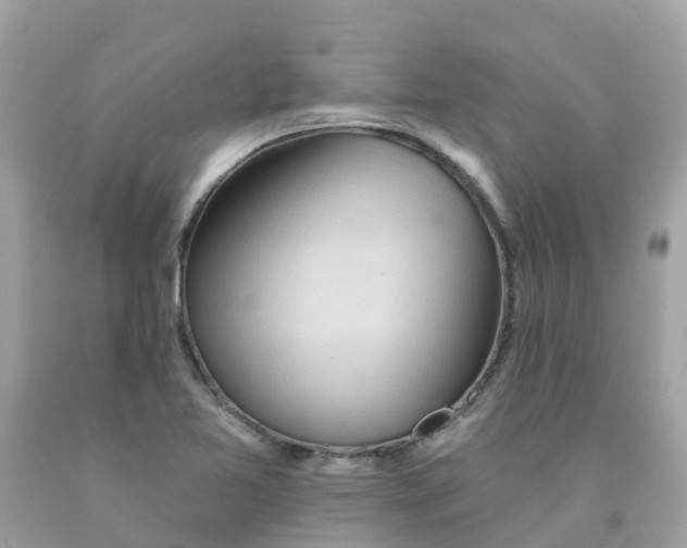 X0000091091365200709041253