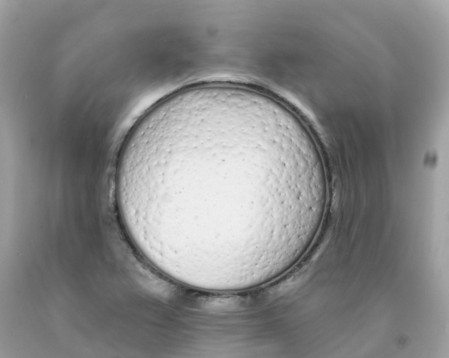 X0000091091367200709041253