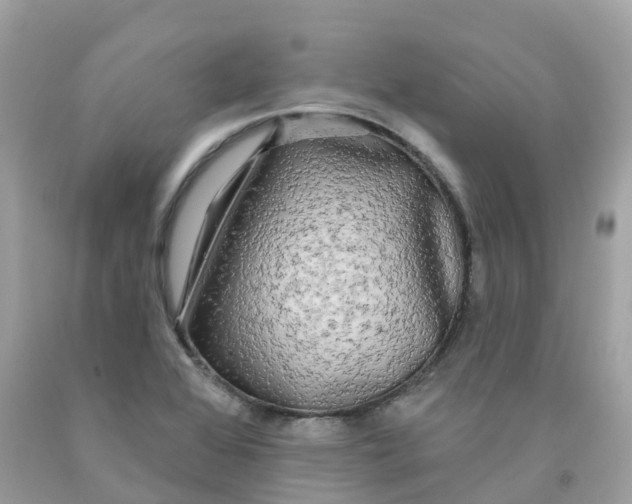 X0000091091368200709041253