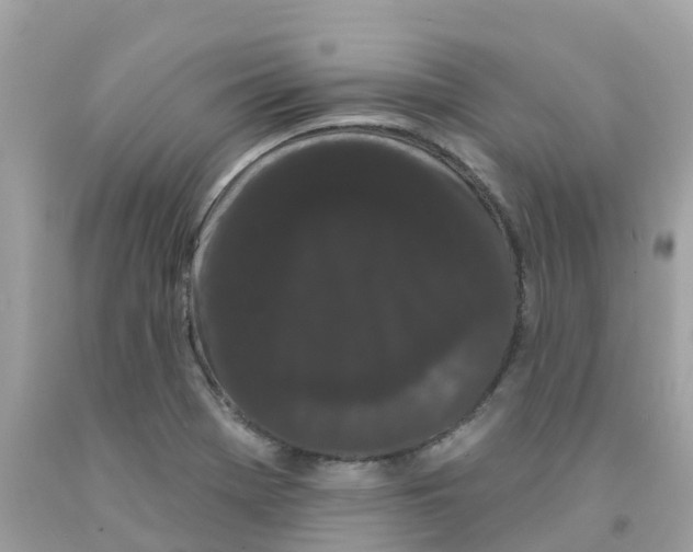 X0000091091369200709041253