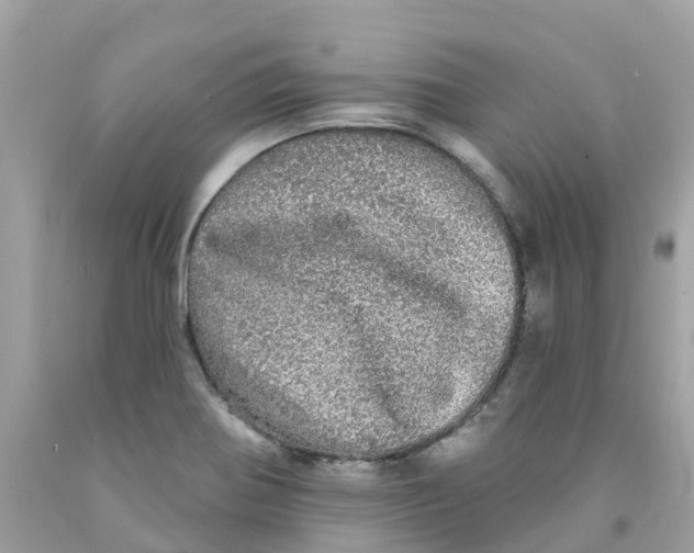 X0000091091370200709041253