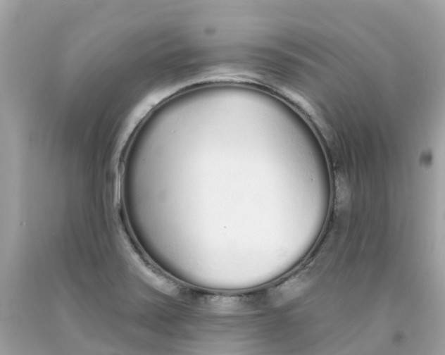 X0000091091371200709041253