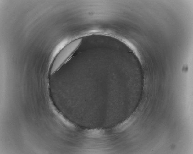 X0000091091373200709041253