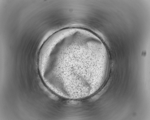 X0000091091374200709041253