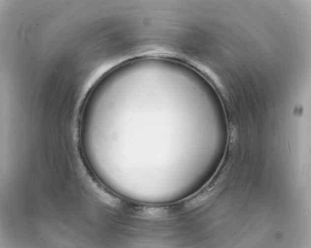 X0000091091375200709041253