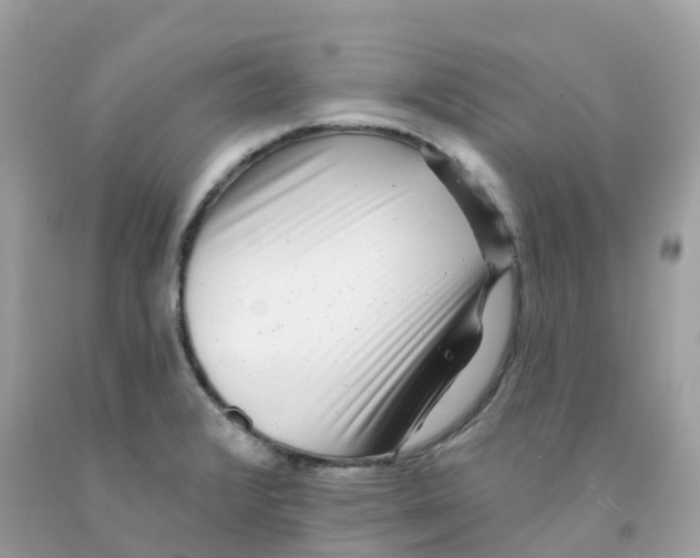 X0000091091376200709041253