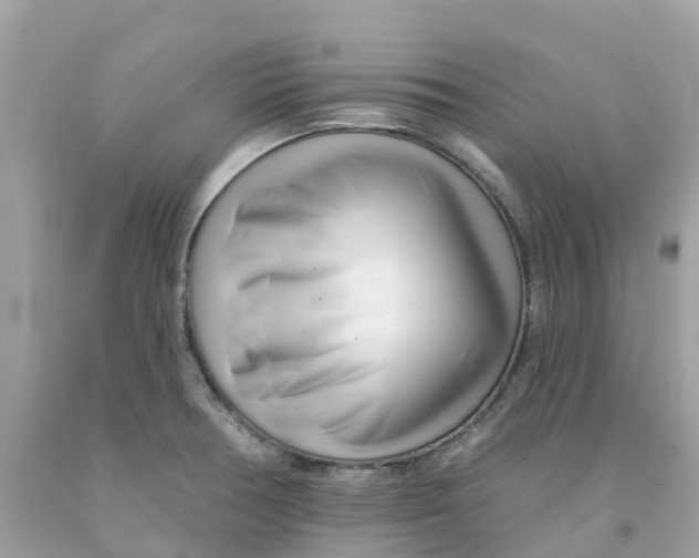 X0000091091378200709041253