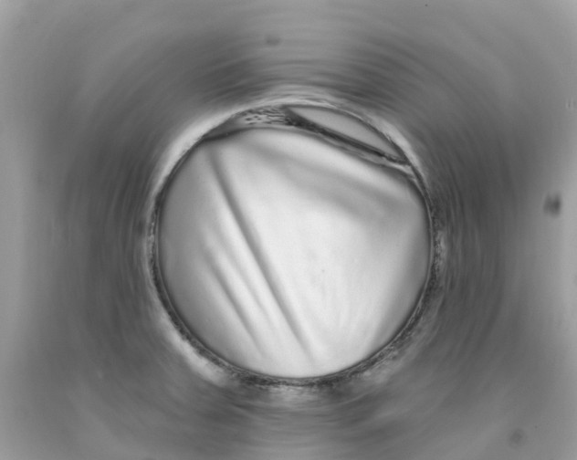 X0000091091379200709041253