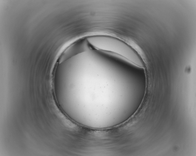 X0000091091380200709041253