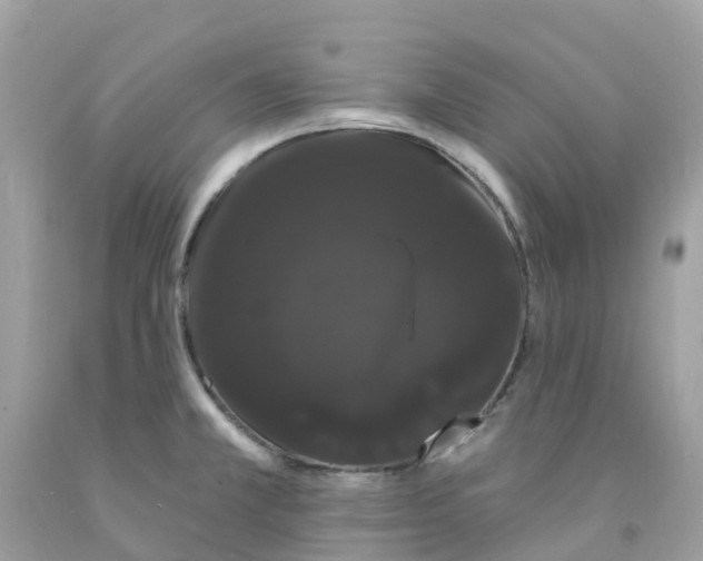 X0000091091381200709041253