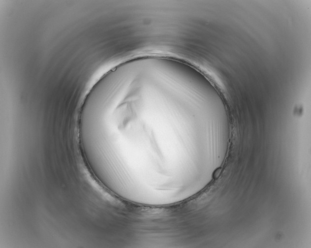 X0000091091382200709041253