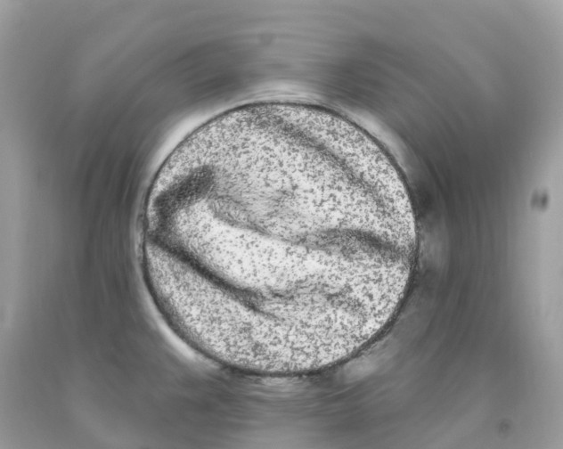 X0000091091383200709041253