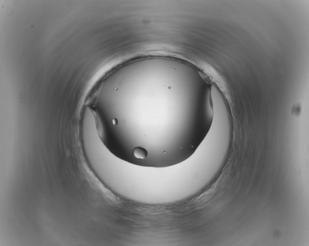 X0000091091384200709041253