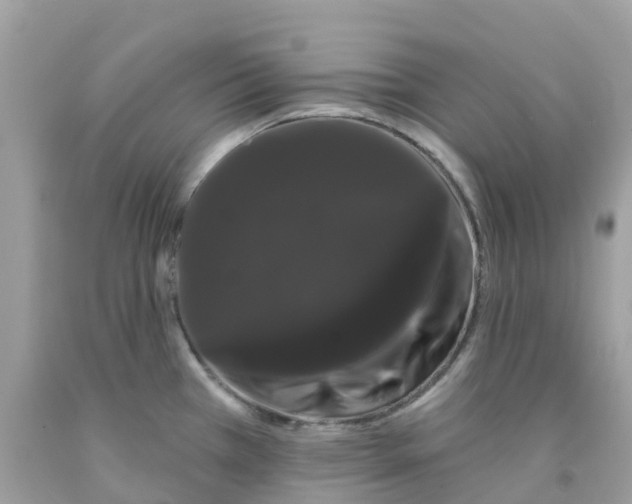 X0000091091385200709041253