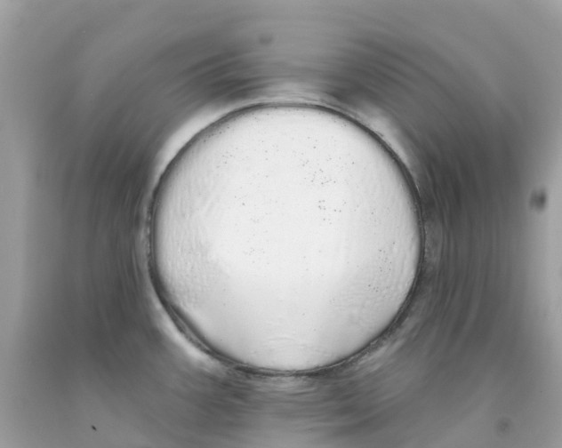 X0000091091387200709041253