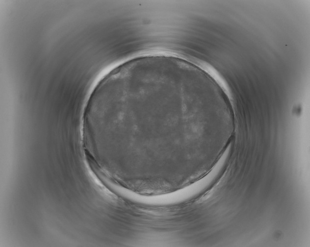 X0000091091388200709041253