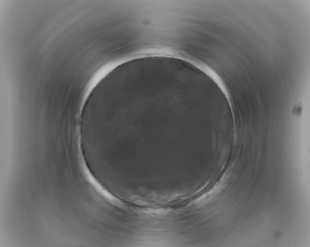 X0000091091389200709041253